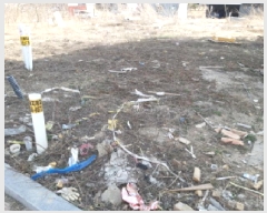  2025Ÿ��41609 ��� ���ý� ������ 2443-1       ����(����)���