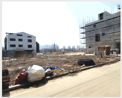  2025Ÿ��41609 ��� ���ý� ������ 2443-1       ����(����)���