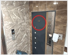  2025Ÿ��41638  �ټ���(����)���