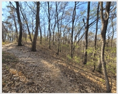  2025Ÿ��41665  �Ӿ߰��