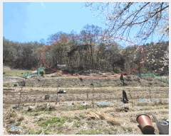  2025Ÿ��41665  �Ӿ߰��