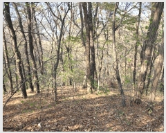  2025Ÿ��41665  �Ӿ߰��