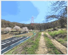  2025Ÿ��41665  �Ӿ߰��