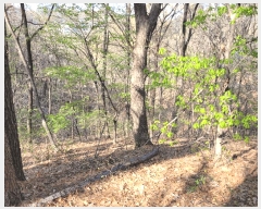  2025Ÿ��41665  �Ӿ߰��