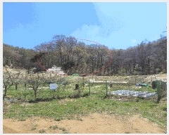  2025Ÿ��41665  �Ӿ߰��