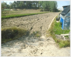  2025Ÿ��41703 ��� ���ý� ������ ������ 240-4      ����(��)���