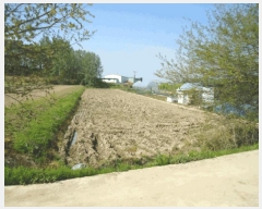  2025Ÿ��41703 ��� ���ý� ������ ������ 240-4      ����(��)���