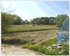  2025Ÿ��41703 ��� ���ý� ������ ������ 240-4      ����(��)���