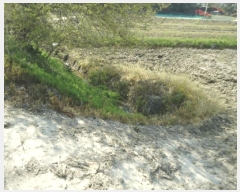  2025Ÿ��41703 ��� ���ý� ������ ������ 240-4      ����(��)���