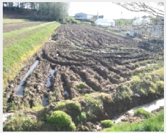  2025Ÿ��41703 ��� ���ý� ������ ������ 240-4      ����(��)���