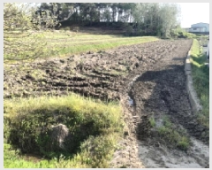  2025Ÿ��41703 ��� ���ý� ������ ������ 240-4      ����(��)���