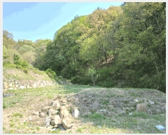  2025Ÿ��41716 ��� �ȼ��� �ݱ��� ���︮ 567      ����(��)���