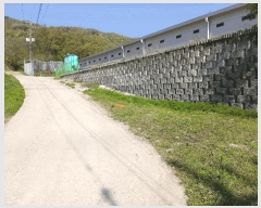  2025Ÿ��41716 ��� �ȼ��� �ݱ��� ���︮ 567      ����(��)���