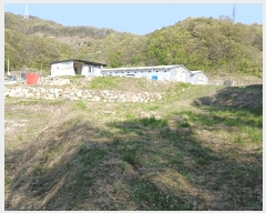  2025Ÿ��41716 ��� �ȼ��� �ݱ��� ���︮ 567      ����(��)���