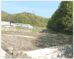  2025Ÿ��41716 ��� �ȼ��� �ݱ��� ���︮ 567      ����(��)���