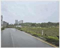  2025Ÿ��41775 ��� ���ý� ������ 2430-8       ����(����)���