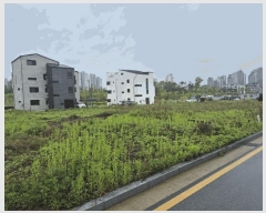  2025Ÿ��41775 ��� ���ý� ������ 2430-8       ����(����)���