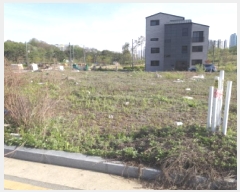  2025Ÿ��41775 ��� ���ý� ������ 2430-8       ����(����)���