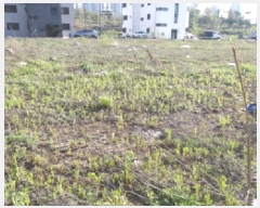  2025Ÿ��41775 ��� ���ý� ������ 2430-8       ����(����)���