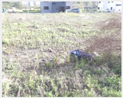  2025Ÿ��41775 ��� ���ý� ������ 2430-8       ����(����)���