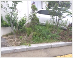  2025Ÿ��41785  �ٸ����ð��