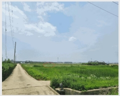  2025Ÿ��41976 ��� ���ý� �Ŵ뵿 55-1       ����(��)���