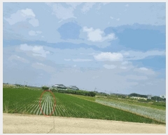  2025Ÿ��41976 ��� ���ý� �Ŵ뵿 55-1       ����(��)���