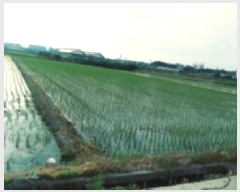  2025Ÿ��41976 ��� ���ý� �Ŵ뵿 55-1       ����(��)���