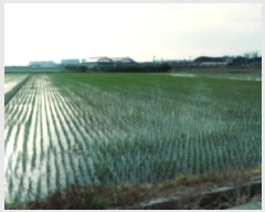  2025Ÿ��41976 ��� ���ý� �Ŵ뵿 55-1       ����(��)���