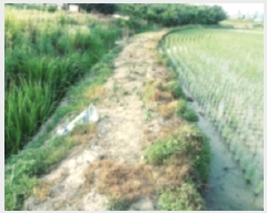  2025Ÿ��41976 ��� ���ý� �Ŵ뵿 55-1       ����(��)���