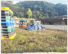  2025Ÿ��41990 ��� �ȼ��� �׻�� ĥ�帮 565-6      ����(����)���