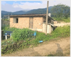  2025Ÿ��41990 ��� �ȼ��� �׻�� ĥ�帮 565-6      ����(����)���