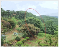  2025Ÿ��42009  �Ӿ߰��