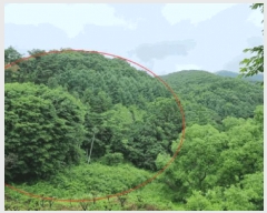  2025Ÿ��42009  �Ӿ߰��