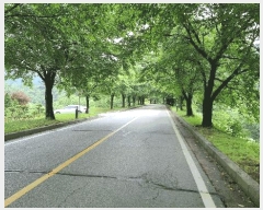  2025Ÿ��42009  �Ӿ߰��