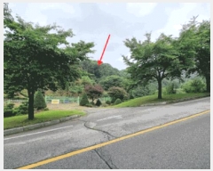  2025Ÿ��42009  �Ӿ߰��