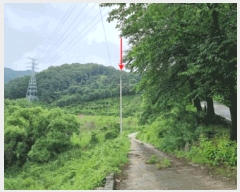  2025Ÿ��42009  �Ӿ߰��