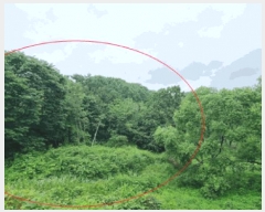  2025Ÿ��42009  �Ӿ߰��