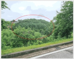  2025Ÿ��42009  �Ӿ߰��