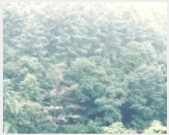  2025Ÿ��42009  �Ӿ߰��