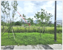  2025Ÿ��42271 ��� ���ý� ������ 2424-6       ����(����)���