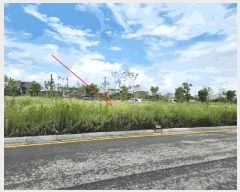  2025Ÿ��42271 ��� ���ý� ������ 2424-6       ����(����)���