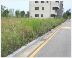  2025Ÿ��42271 ��� ���ý� ������ 2424-6       ����(����)���