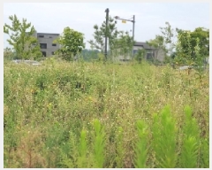  2025Ÿ��42271 ��� ���ý� ������ 2424-6       ����(����)���