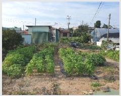  2025Ÿ��42301  �������