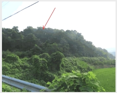  2025Ÿ��42309  �Ӿ߰��