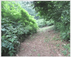  2025Ÿ��42309  �Ӿ߰��