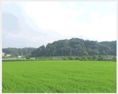  2025Ÿ��42309  �Ӿ߰��