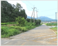  2025Ÿ��42309  �Ӿ߰��