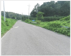  2025Ÿ��42309  �Ӿ߰��